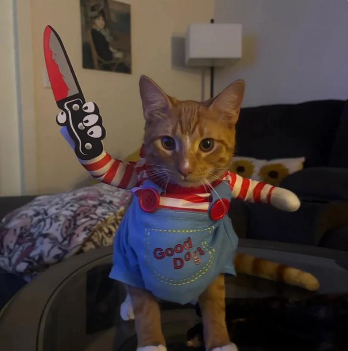 Pet Slasher
