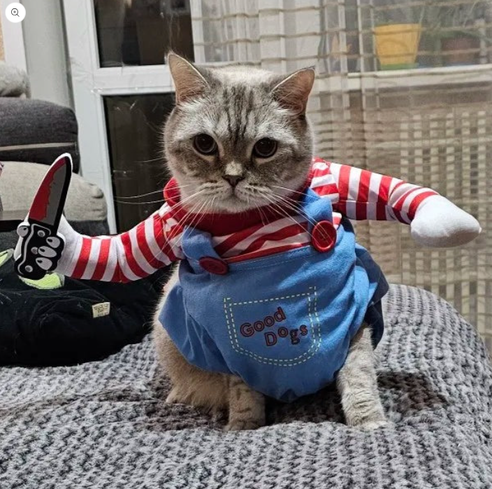 Pet Slasher